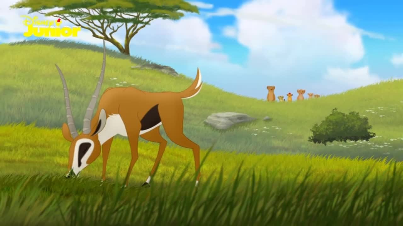 DK DISNEY JUNIOR [MULTI AUDIO] - DENMARK